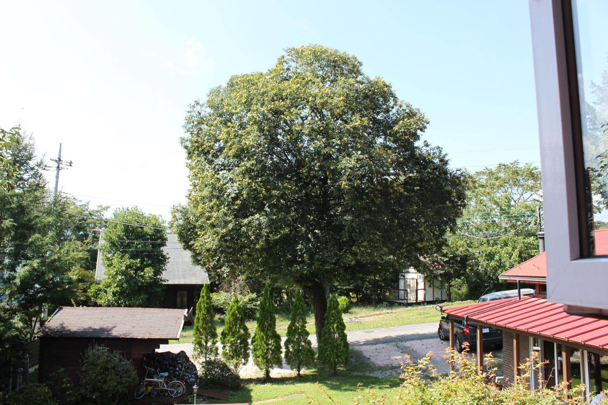 Pension Field Hokuto  Zewnętrze zdjęcie